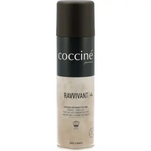 SPRAY OŻYWIAJĄCY KOLOR DO NUBUKU I ZAMSZU RAVVIVANT SPRAY 250ML Oferta limitowana