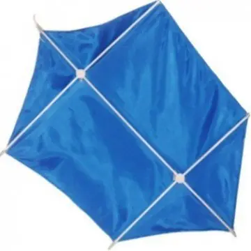 Zniżka Latawiec Pawik