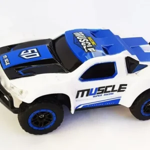 Zamów teraz RACING RALLY SHORT COURSE TRUCK 1:43 2,4 GHZ